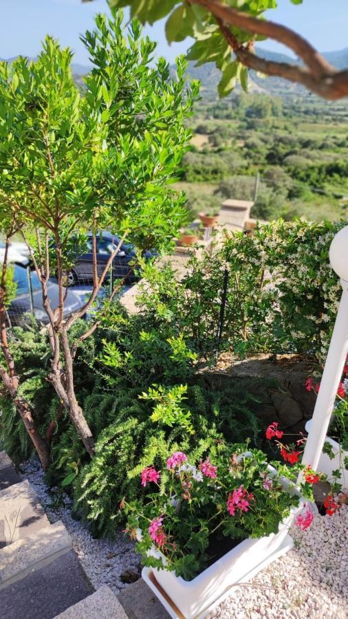 Casa L'Ulivariu Affittacamere 圣特奥多罗 外观 照片