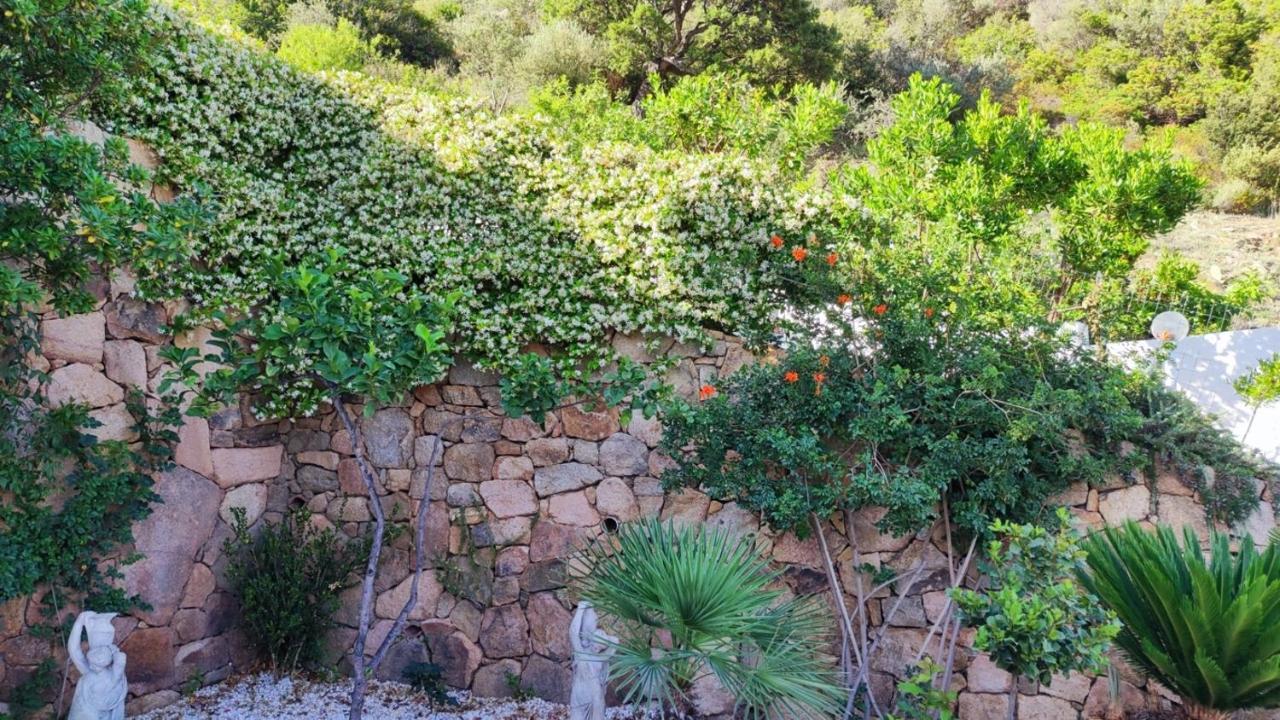 Casa L'Ulivariu Affittacamere 圣特奥多罗 外观 照片