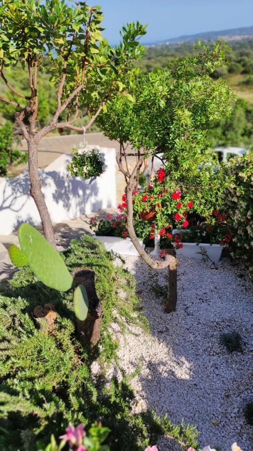 Casa L'Ulivariu Affittacamere 圣特奥多罗 外观 照片