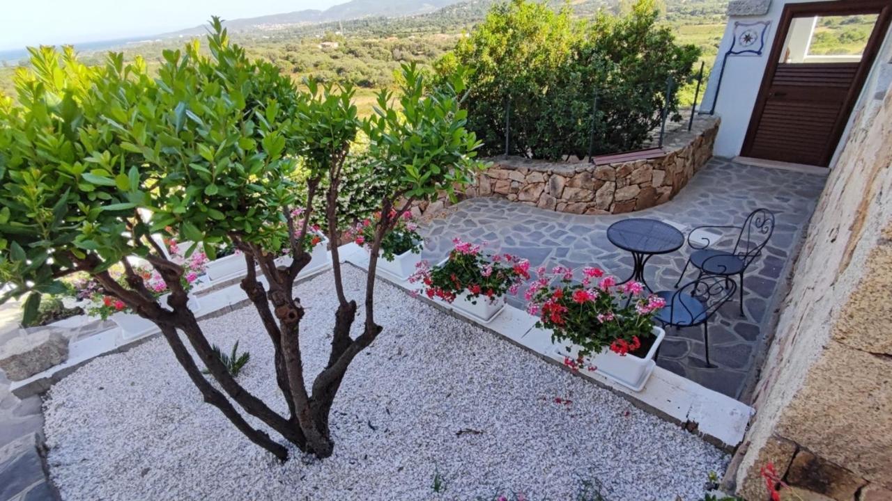 Casa L'Ulivariu Affittacamere 圣特奥多罗 外观 照片