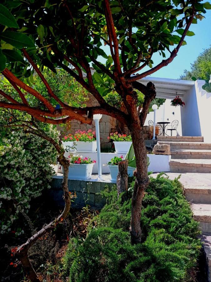 Casa L'Ulivariu Affittacamere 圣特奥多罗 外观 照片