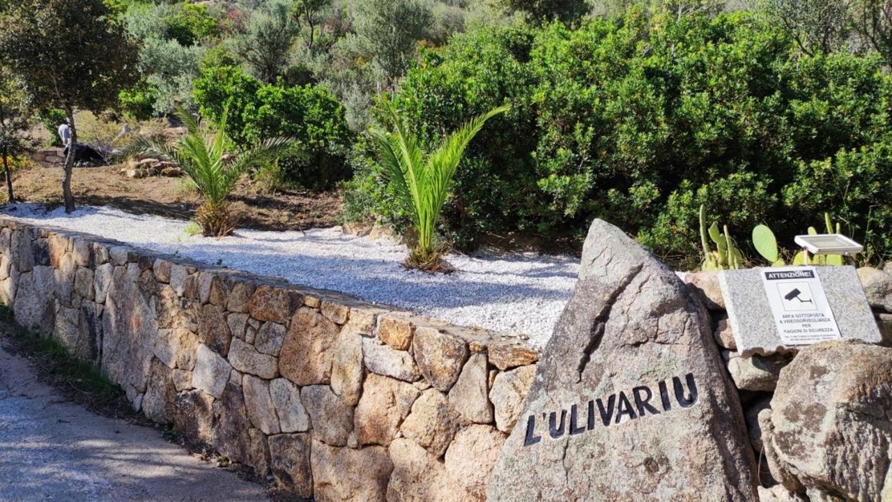 Casa L'Ulivariu Affittacamere 圣特奥多罗 外观 照片
